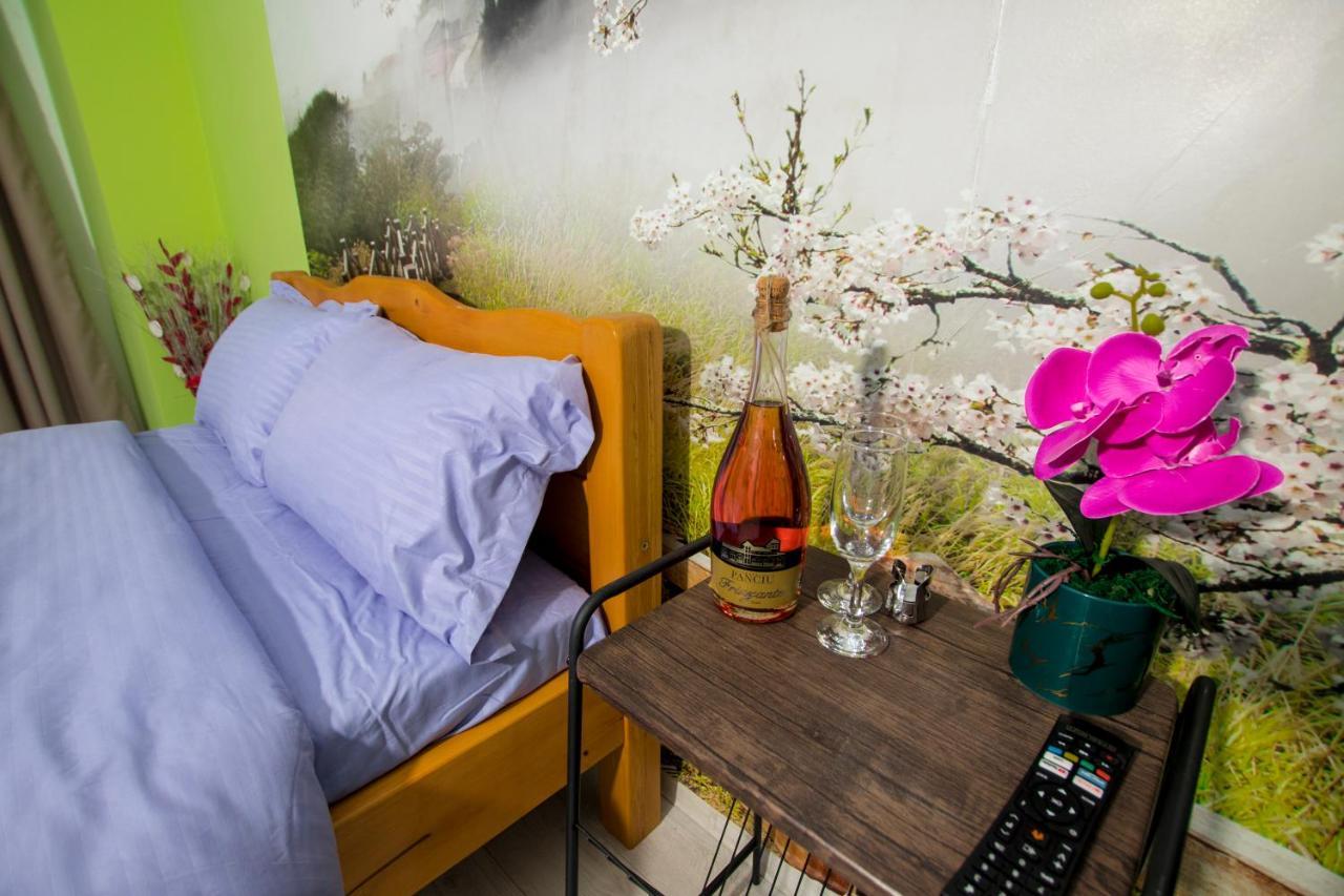 Studio Moghioros Park Bukareszt Zewnętrze zdjęcie